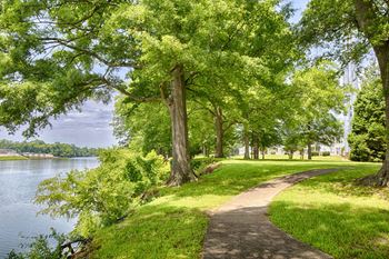 Walking trail/ river walk